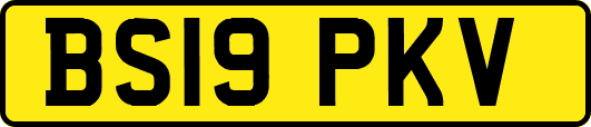 BS19PKV