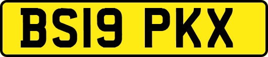 BS19PKX