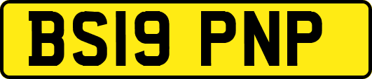 BS19PNP