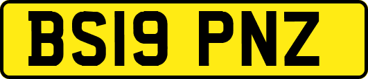 BS19PNZ