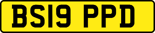 BS19PPD