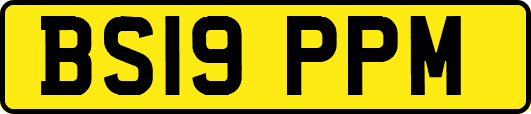 BS19PPM