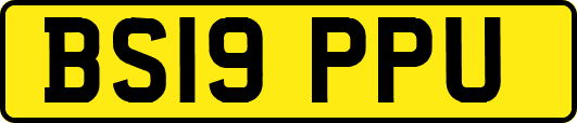 BS19PPU