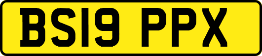 BS19PPX