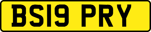 BS19PRY