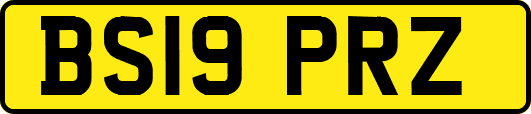 BS19PRZ