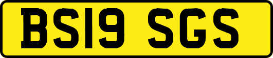 BS19SGS