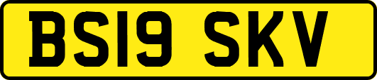 BS19SKV