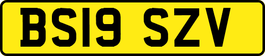 BS19SZV