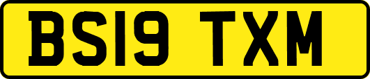 BS19TXM