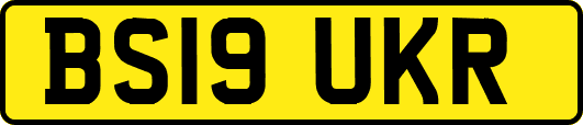 BS19UKR