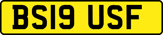 BS19USF