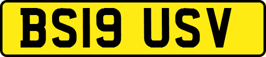 BS19USV