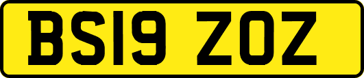 BS19ZOZ