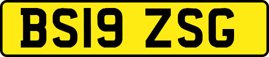 BS19ZSG