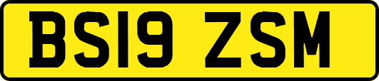 BS19ZSM