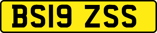 BS19ZSS