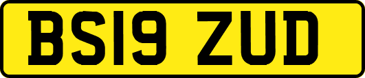 BS19ZUD