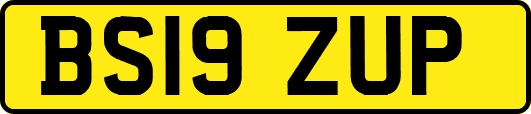 BS19ZUP