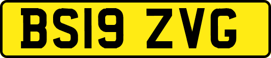 BS19ZVG