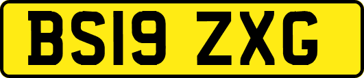 BS19ZXG