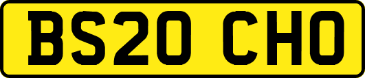 BS20CHO