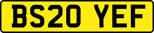 BS20YEF