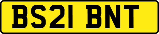 BS21BNT