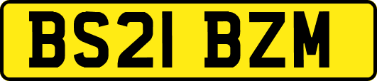 BS21BZM