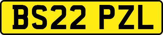 BS22PZL