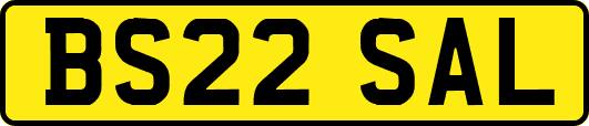 BS22SAL