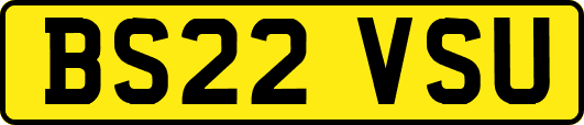 BS22VSU