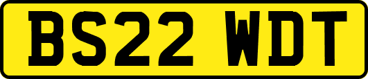 BS22WDT