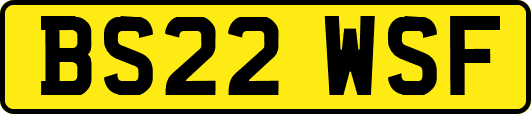 BS22WSF