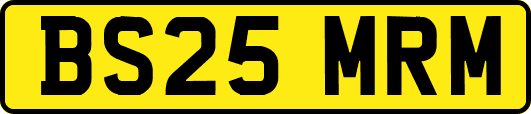 BS25MRM
