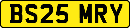 BS25MRY