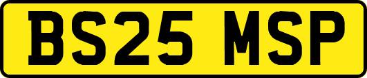 BS25MSP
