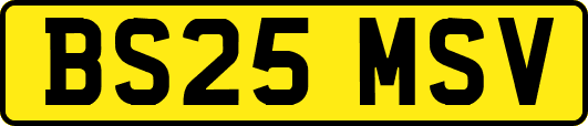 BS25MSV