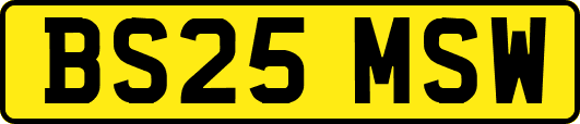BS25MSW