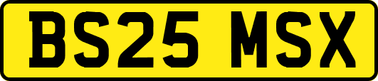 BS25MSX