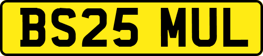 BS25MUL