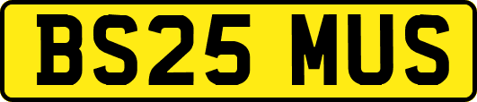 BS25MUS