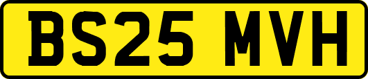BS25MVH