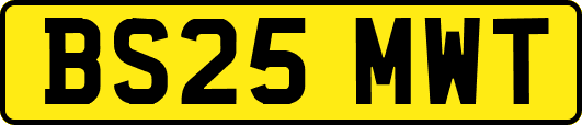 BS25MWT