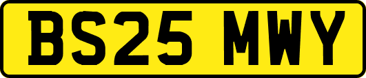 BS25MWY