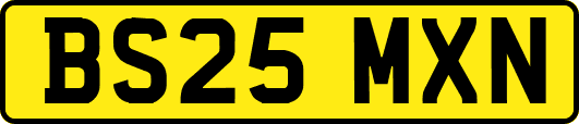 BS25MXN