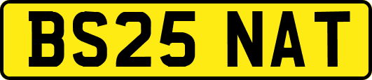 BS25NAT