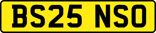 BS25NSO