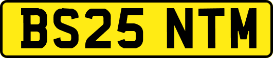 BS25NTM