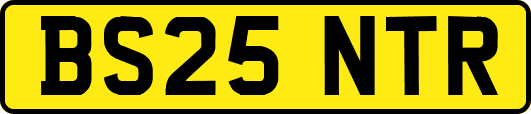BS25NTR